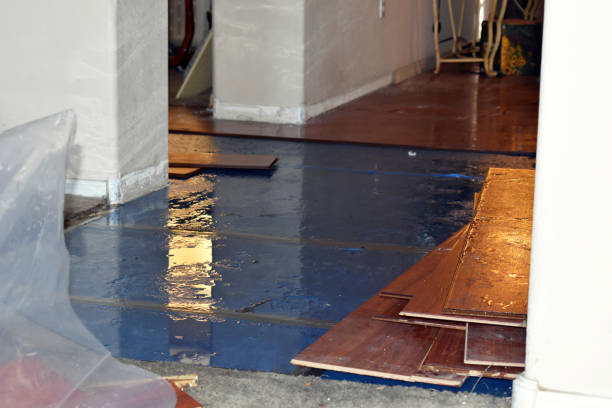 Professional Sewage Cleanup technician working in Britton, MI